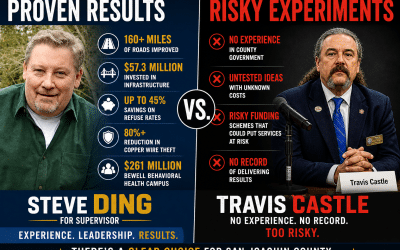 Proven Results vs. Risky Experiments: A Clear Choice for Supervisor