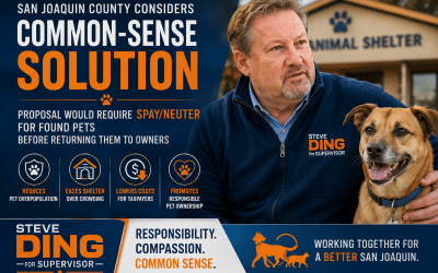 San Joaquin County Exploring Common-Sense Plan to Reduce Strays and Shelter Costs