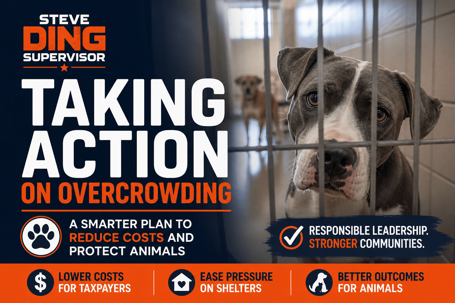 Campaign-style graphic showing a dog behind shelter kennel bars, with bold navy, orange, and white text reading “Steve Ding Supervisor – Taking Action on Overcrowding – A smarter plan to reduce costs and protect animals.”